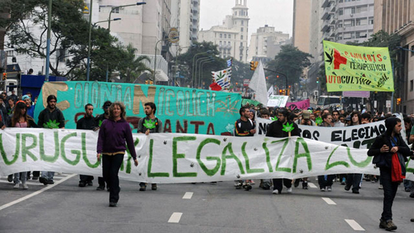 Modern Prohibition Takes It On The Chin With Uruguays Marijuana Legalization