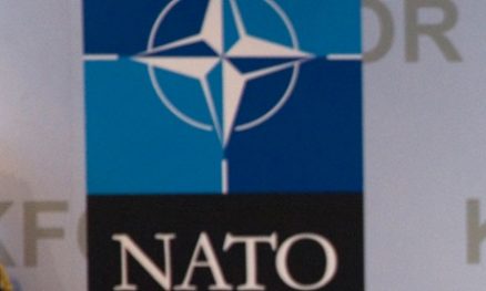 Cyber attack on Nato websites claimed by ‘Ukrainian patriots’