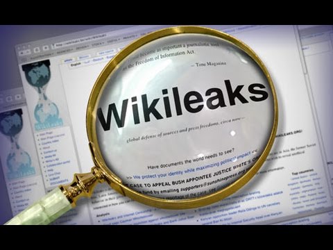 Journalist Who Went Into Hiding for 4 Years Vindicated by Wikileaks