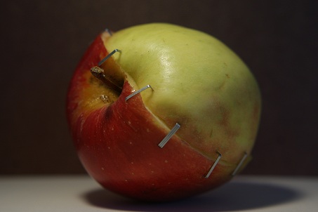 Europe Bans American Apples – Too Toxic to Eat