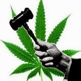 Marijuana Legalization Leads to Less Violent Crime: Study