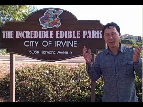Edible Park in Irvine Feeds 200,000 Every Month