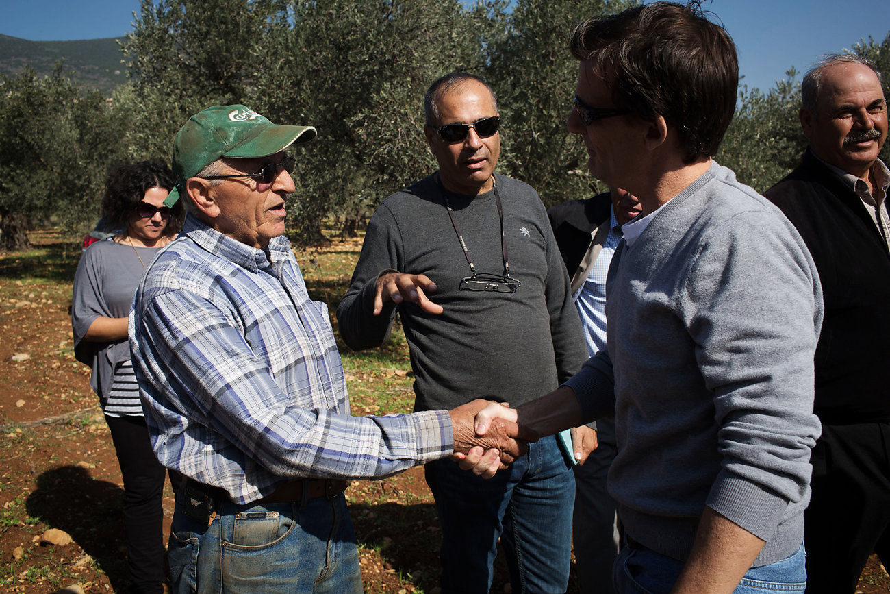 Israeli and Palestinian Farmers Unite Over Olive Oil
