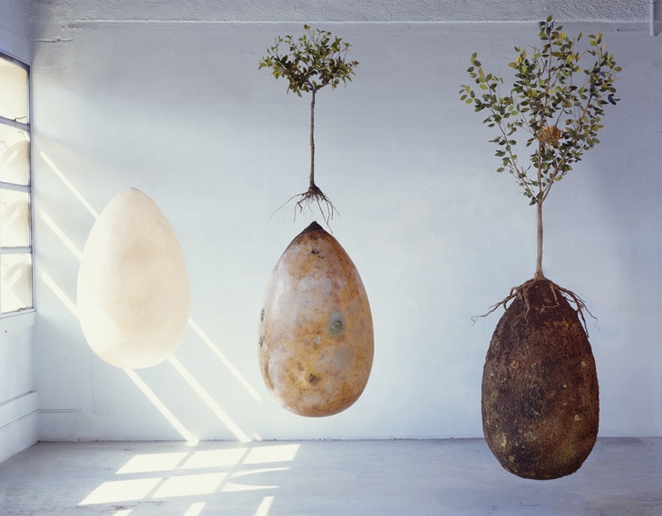 These Egg Shaped Burial Pods Could Turn Our Cemeteries Into Forests