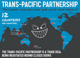 Is the Trans-Pacific Partnership Unconstitutional?
