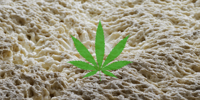 Scientists Can Now Make THC From Yeast