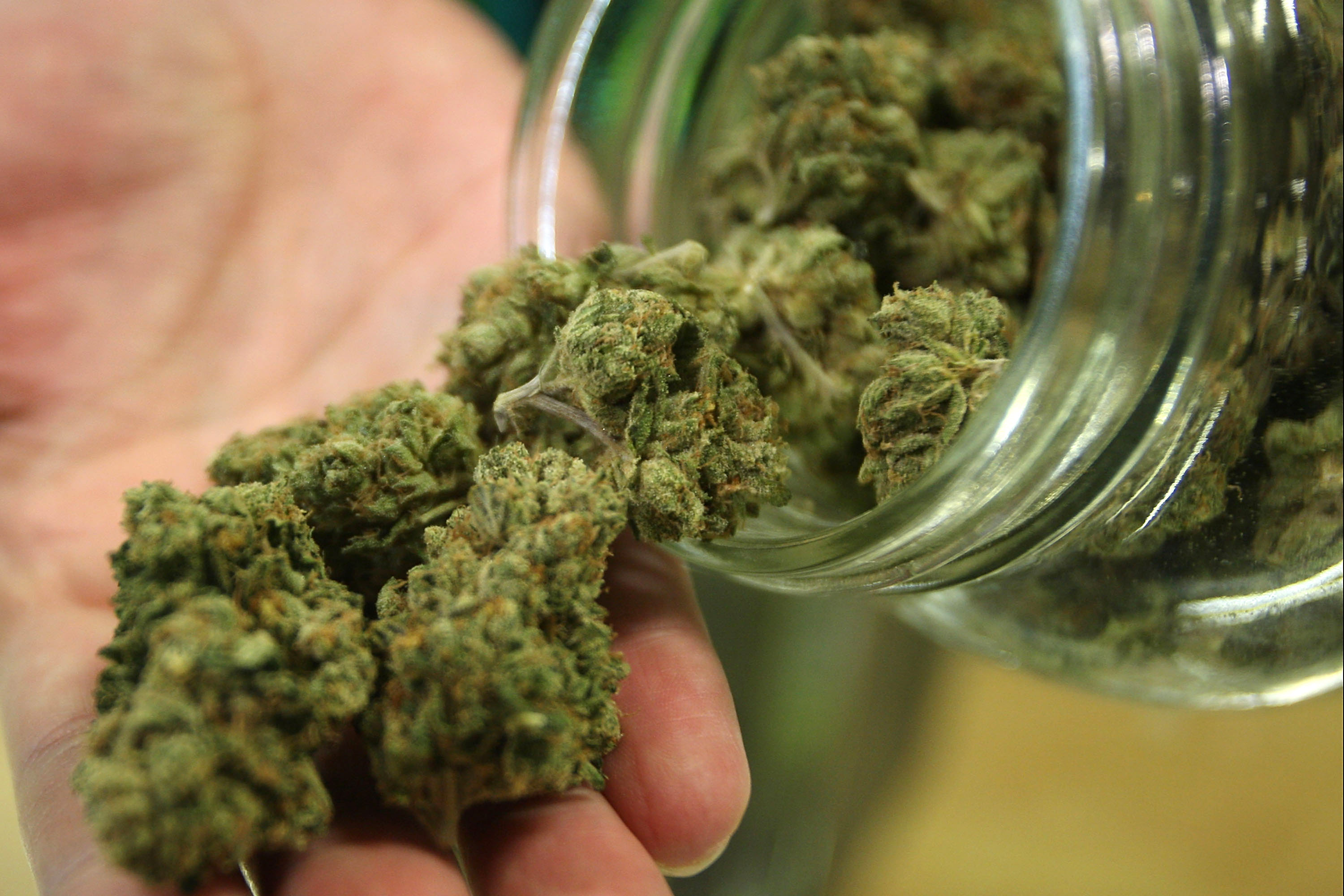 Recreational Marijuana Bill Introduced in New York