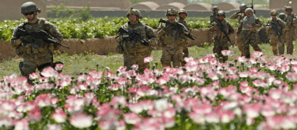 soldiers-guarding-opium-fields