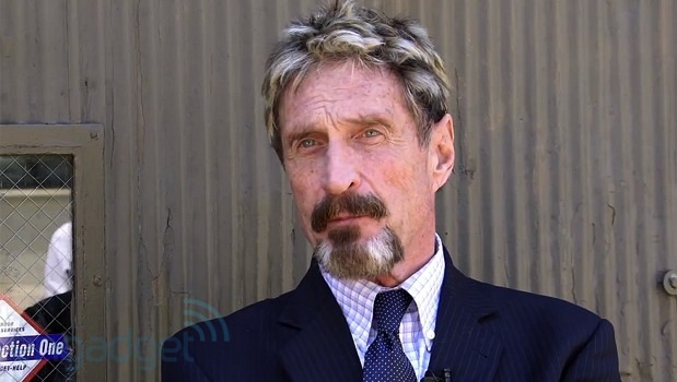 McAfee will run as Libertarian Party candidate for president