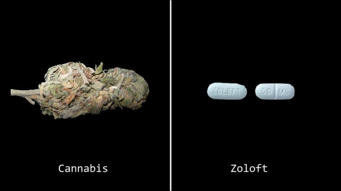 Cannabis Could Literally Replace These 5 Prescription Drugs