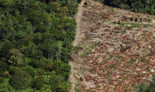 One-Third of Ecuador’s Rainforests to Be Auctioned Off to Chinese Oil Companies