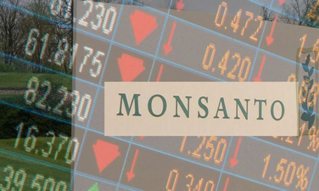 Monsanto Kicks Off New Year With 1000 Job Cuts