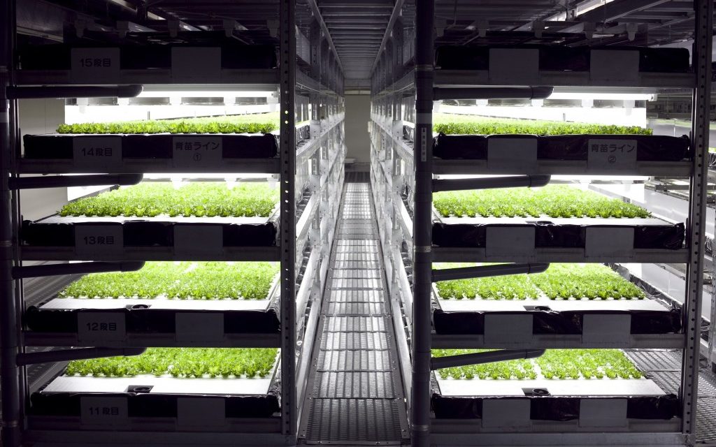 The world’s first robot-run farm will harvest 30,000 heads of lettuce daily