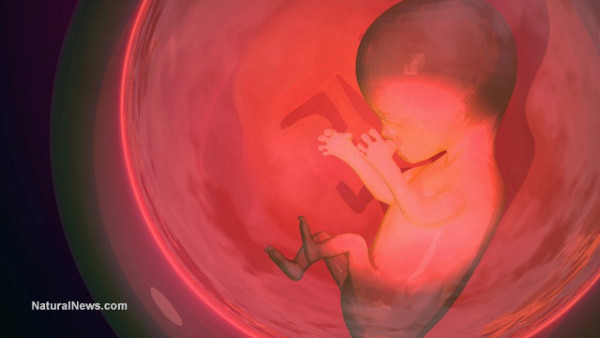 3d-Render-Embryo-Baby-Unborn