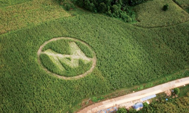 World Wildlife Fund falls prey to Monsanto ‘greenwashing’ tactics, agrees to support conversion of Amazon into GMO plantation