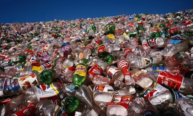 Scientists just discovered a plastic-eating bacteria that could revolutionize recycling