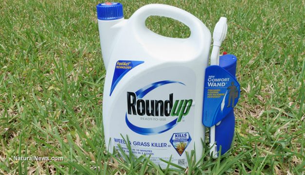Class action lawsuit accuses Monsanto of falsely advertising the “safety” of glyphosate