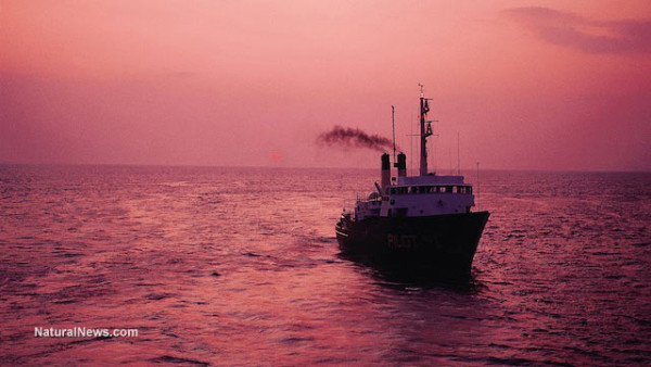 Fishing-Seafood-Boat-Sea-Ocean-Water-Sunset