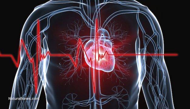 Diet Coke found to dramatically raise risk of heart attacks