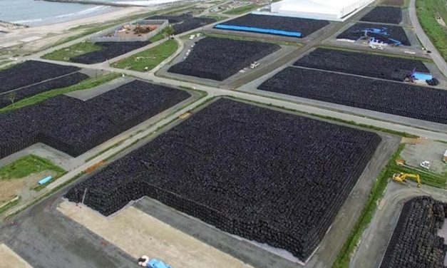 ‘City’ of Waste — Fukushima Cleanup Now Up to 10.7 Million 1-ton Bags of Radioactive Waste