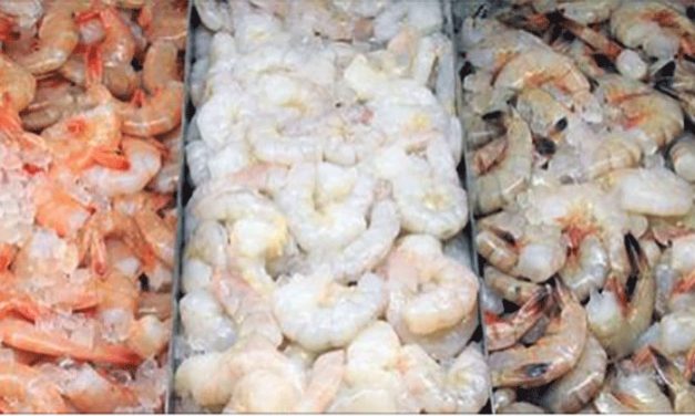 Asian Seafood Raised on Pig Feces Approved for U.S. Consumers