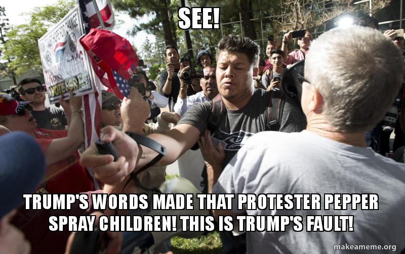 Protester Pepper Sprays 11-Year old and Eight-Year-Old Female Trump Supporters