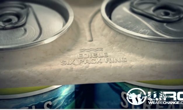 Beer Company Creates Edible Six-Pack Rings to Save Ocean