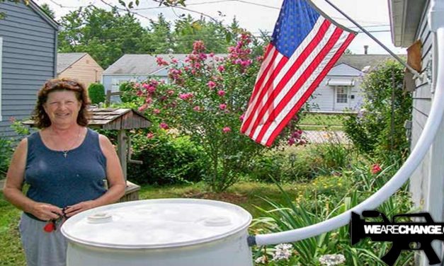 Cleveland Permit fees for rain barrels start at $31