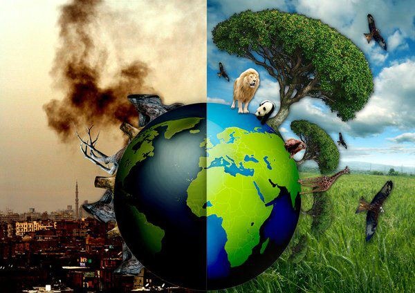 Global Extinction: Unsustainable Industrial Civilization
