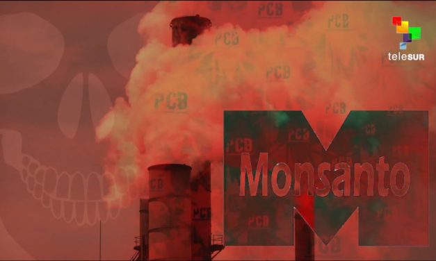 Abby Martin: Monsanto, America’s Monster