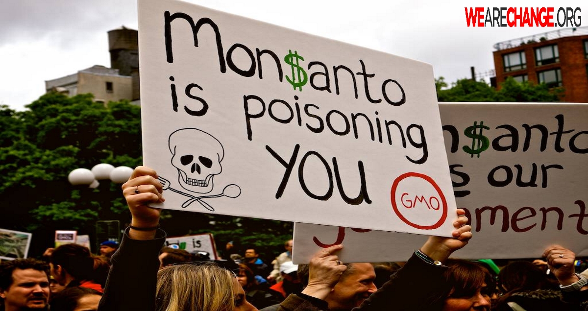 40 Tons of GMO Crops Destroyed US Media Silent