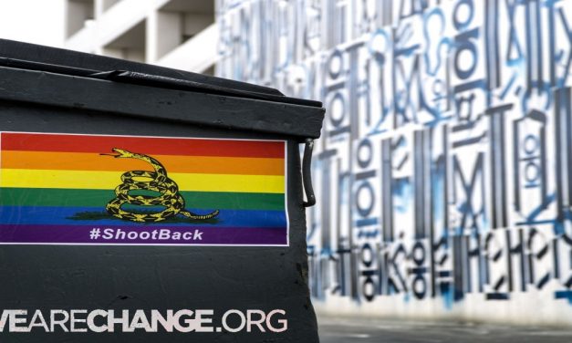 #ShootBack: L.A. Covered in Rainbow Colored Pro-Gun Posters !