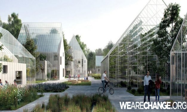 This town will grow its own food, live off-grid, and handle its own waste !