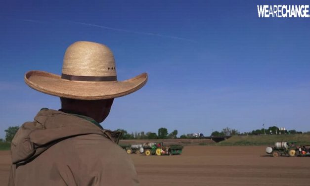 US Gov. Says Farmer Broke the Law By Plowing His Land