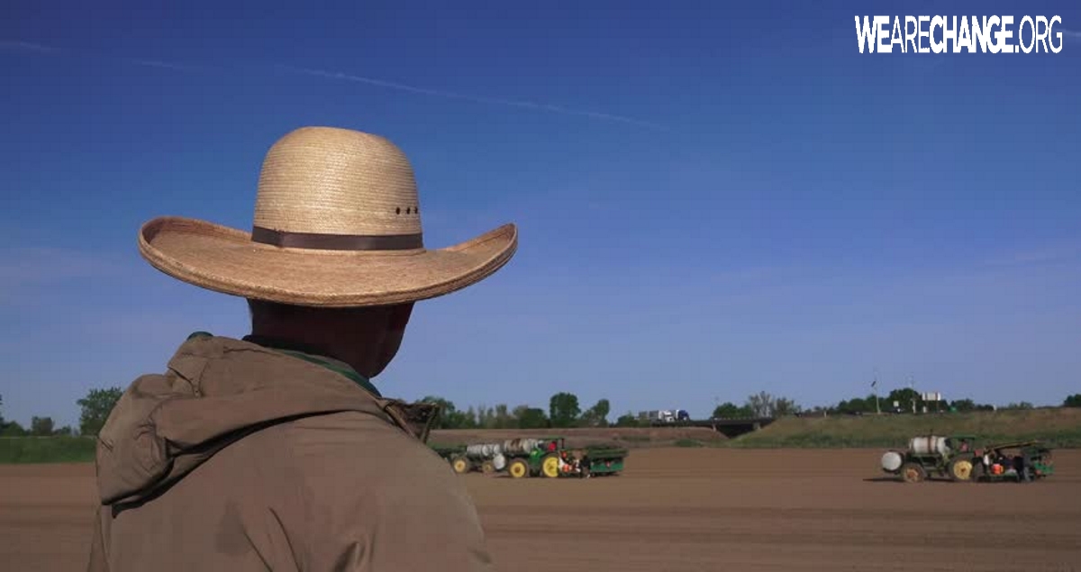 US Gov. Says Farmer Broke the Law By Plowing His Land