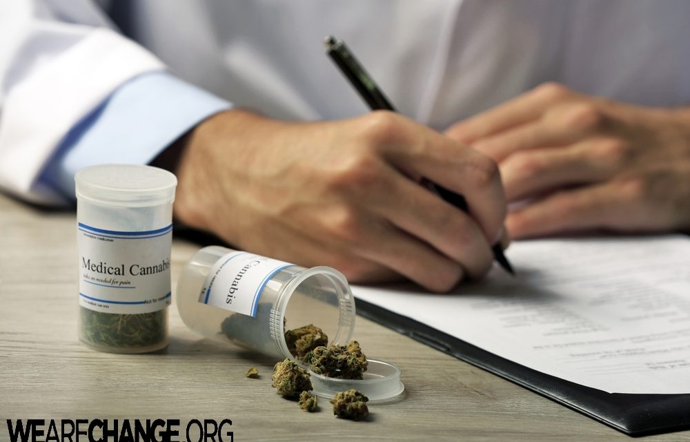 Medicare Prescriptions Drop After Medical Marijuana Legalized