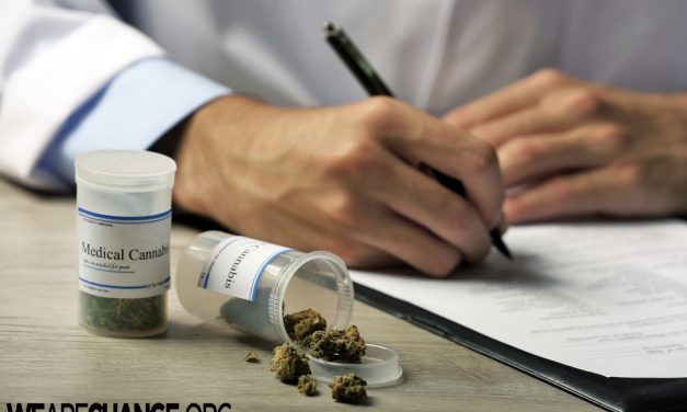 Medicare Prescriptions Drop After Medical Marijuana Legalized