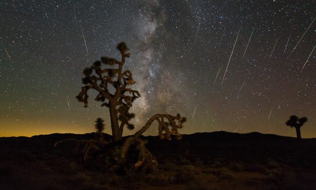 The Most Incredible Meteor Shower In A Decade Is This Week