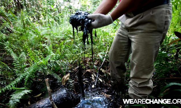 Ecuador To Sell A Third Of It’s Rainforest To Chinese Oil Companies