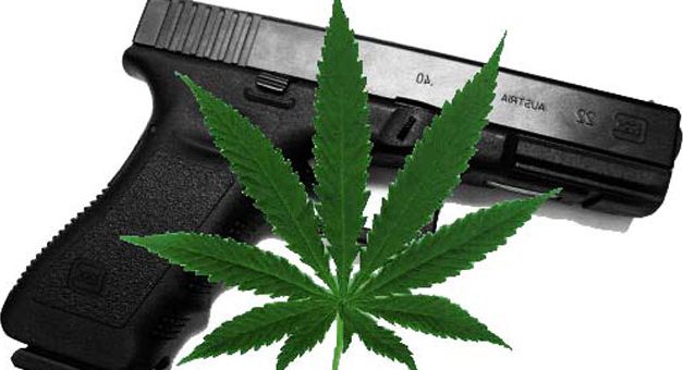 Federal Court: Medical Marijuana Cardholders Can’t Own Guns