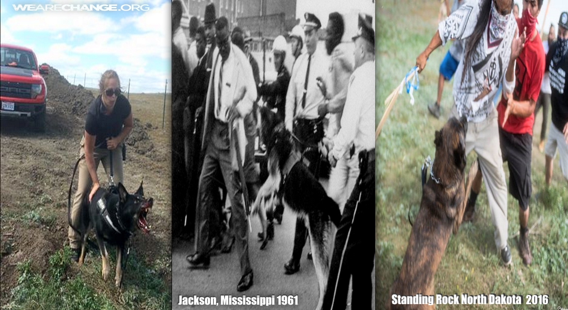 CENSORED NEWS: DOGS SICCED ON NATIVE AMERICAN PEACEFUL PROTESTORS