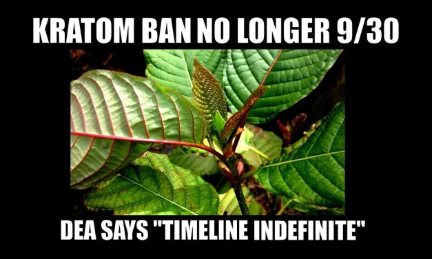 In Unprecedented Move, DEA Withdraws Kratom Ban