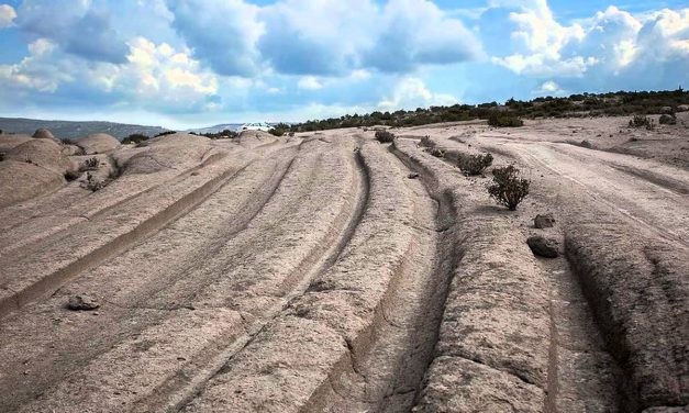 12 Million-Year-Old Vehicle Tracks Found Claims Geologist !