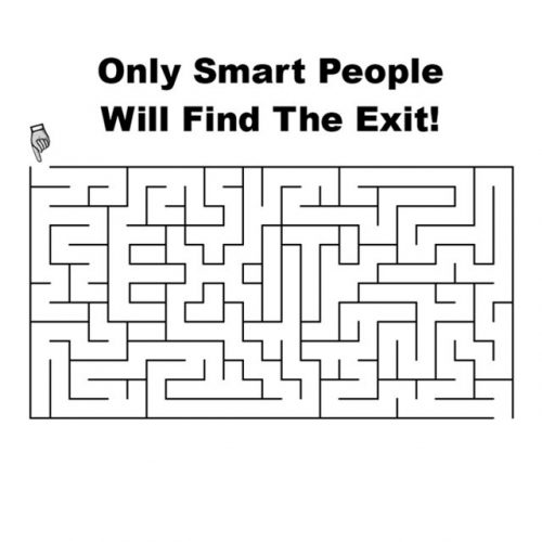 exit-in-the-maze