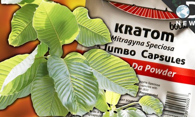 Kratom: Deadly Drug or Life-Saving Medicine?