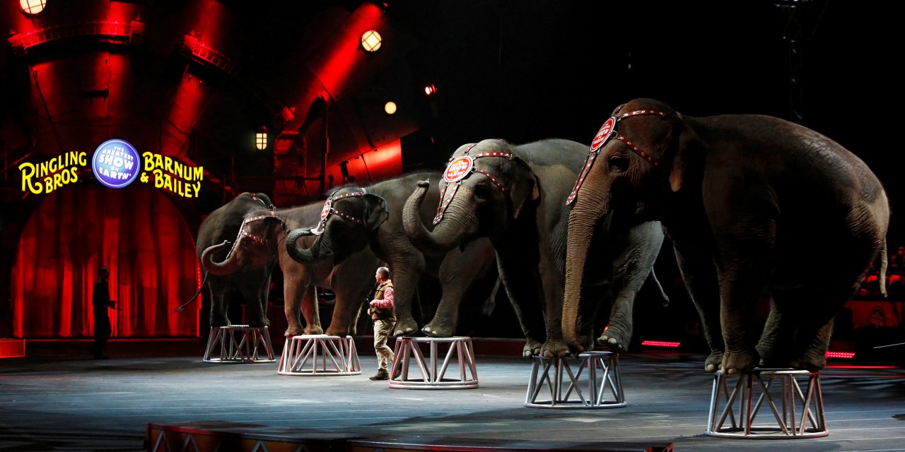 Ringling Bros. Circus To Shut Down After 146 Years And Numerous Abuse Allegations