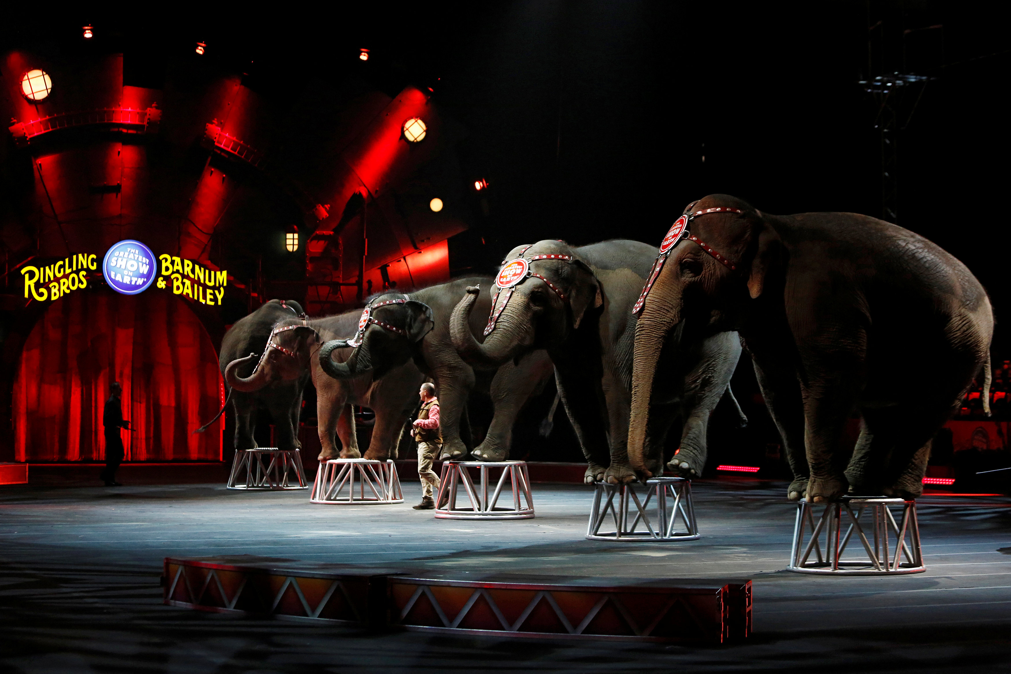 Ringling Bros. Circus To Shut Down After 146 Years And Numerous Abuse ...