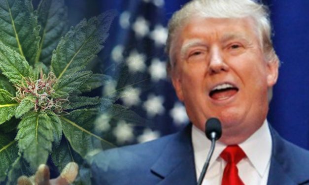 Why The ‘War On Drugs’ Will Flourish Under President Trump