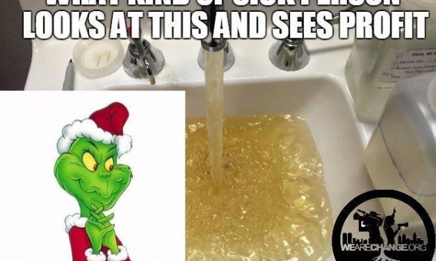 The Grinch That Stole Flint’s Christmas?