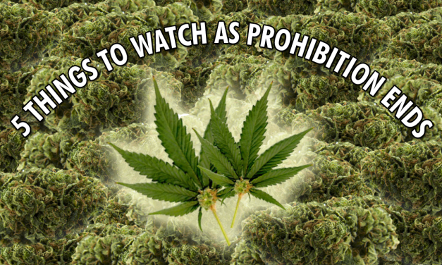 Legal Marijuana: 5 Trends To Watch As Prohibition Ends